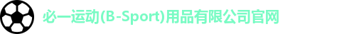 BSport必一